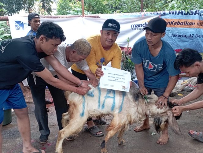 
 Mandiri Amal Insani (MAI) Foundation Gelar Pemotongan Qurban di Srengseng Sawah Jagakarsa