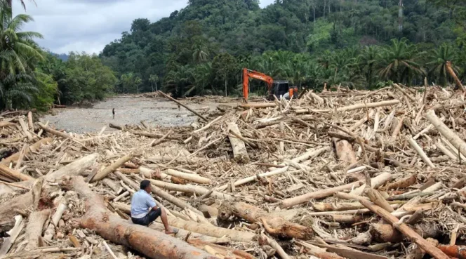 
 Hutan Diklaim Selamat, Luka Rakyat Menganga