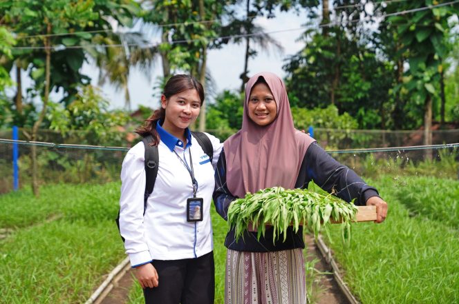 
 Semakin Kuat Bersama Danantara, PNM Perluas Harapan bagi 23,1 Juta Pengusaha Ultra Mikro